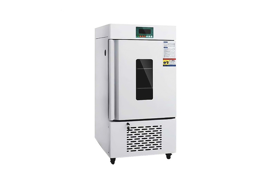 1767165979209348.jpg 未标题-2.jpg