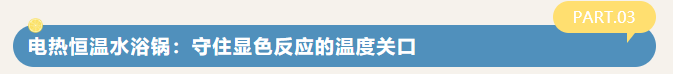 1787898466812328.png 微信图片_2026-08-28_142738_757.png